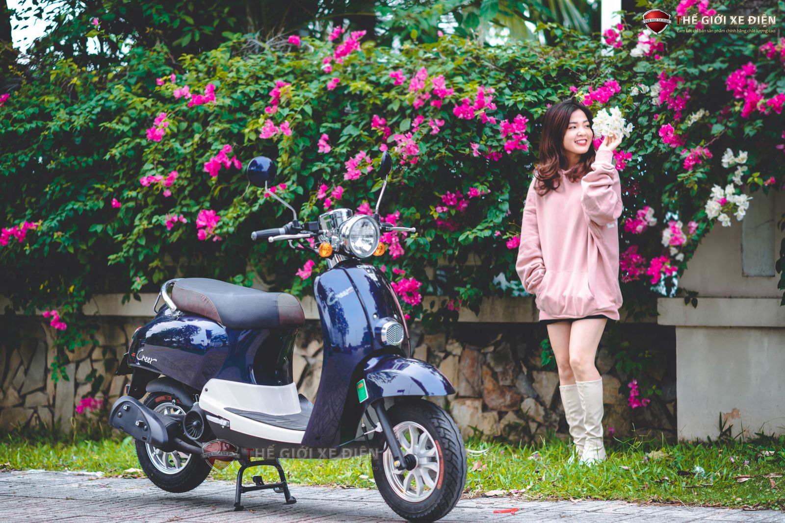 Xe Ga 50cc Dibao Creer Phanh Đĩa Chất Lượng Cao - Ảnh 2