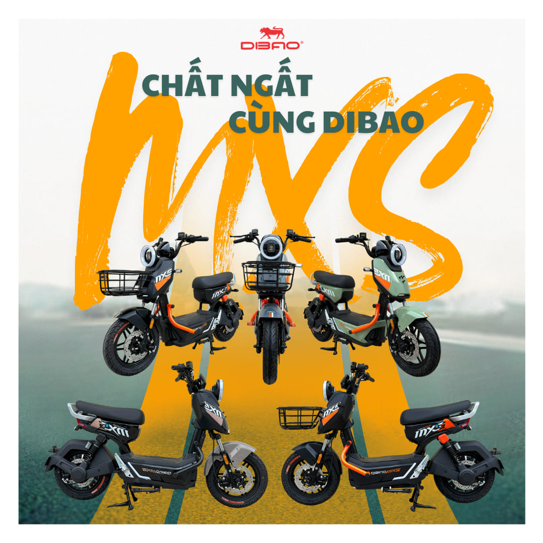 Xe Đạp Điện Dibao MXS - Ảnh 44