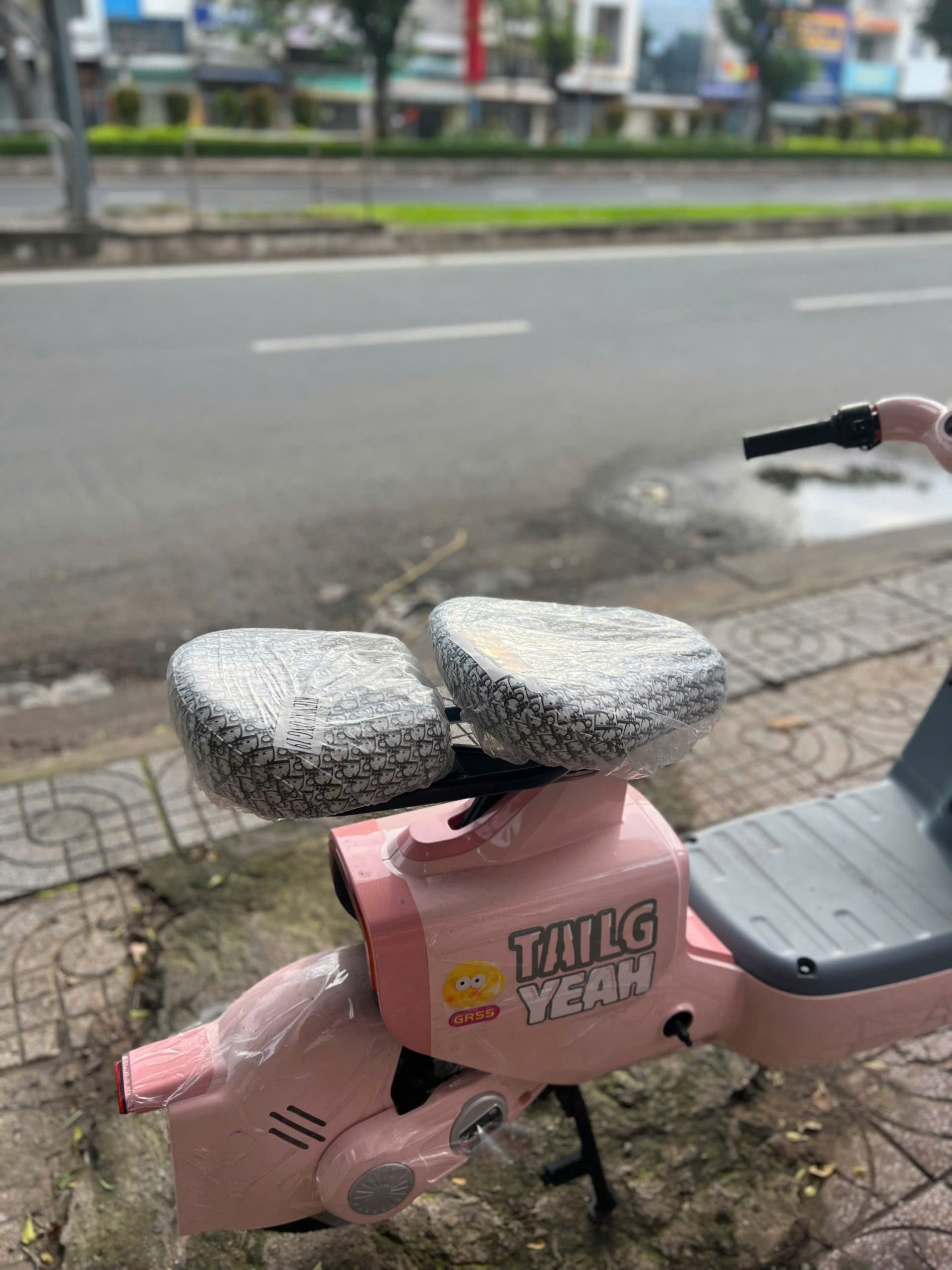 Xe Đạp Điện Tailg Hotgirl GR55 Đầy Đủ Giấy Tờ - Ảnh 6