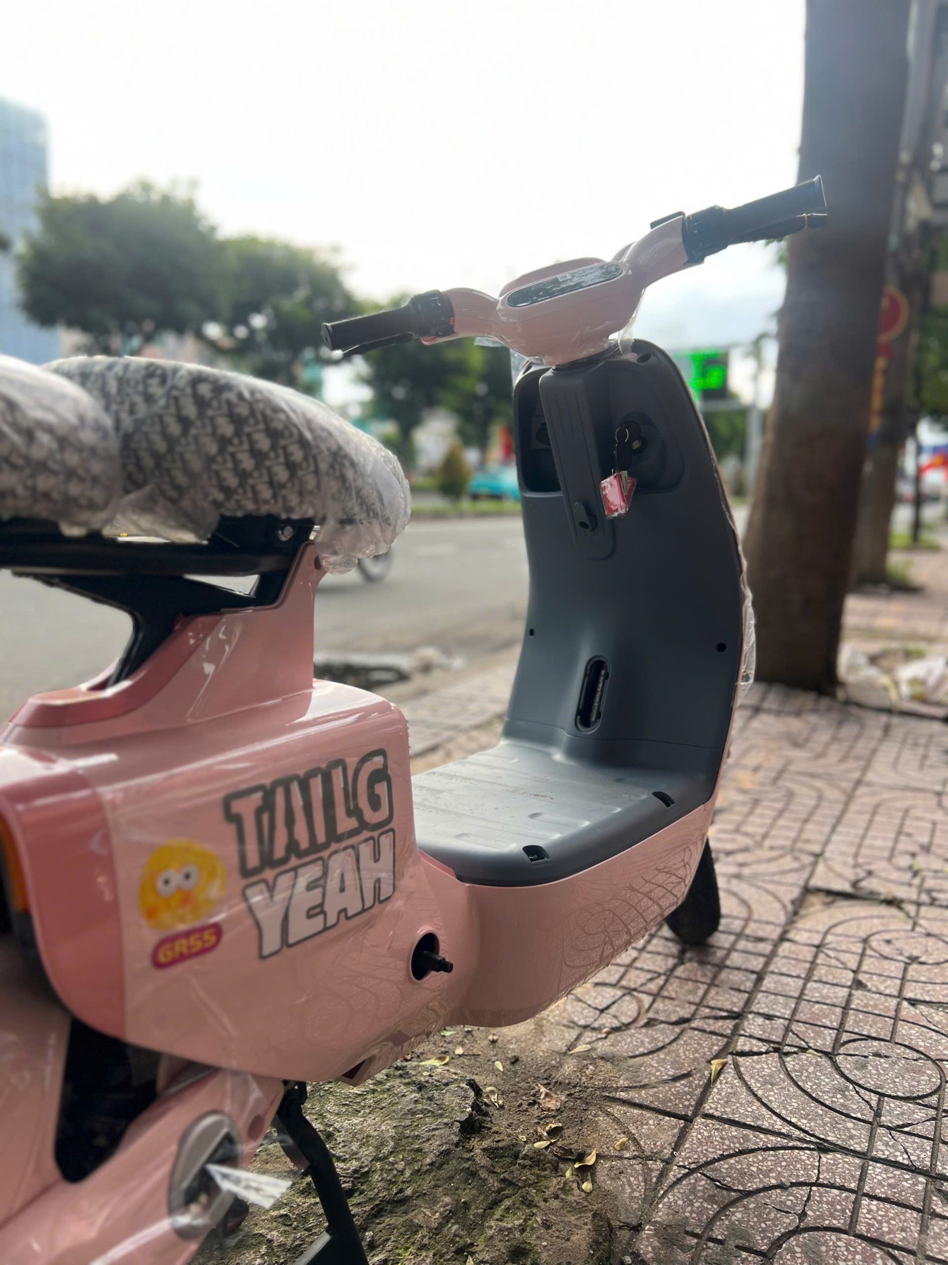 Xe Đạp Điện Tailg Hotgirl GR55 Đầy Đủ Giấy Tờ - Ảnh 7