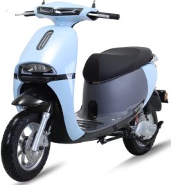 Tailg Gogo R31