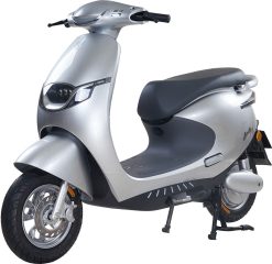 Tailg Venus R53