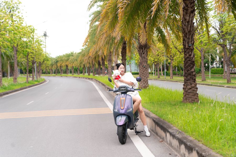 Xe Máy Điện Dibao Pansy Dio Đời Mới - Ảnh 9