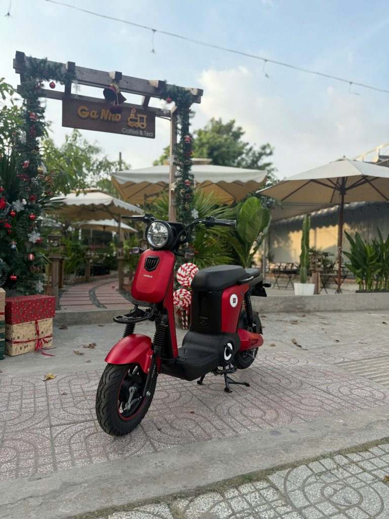 Xe Đạp Điện Osakar Mandi 