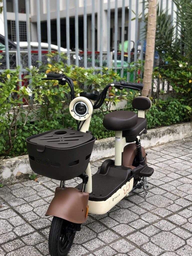 Xe Đạp Điện Tailg JY33 Mini Bike